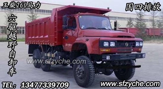 �|�L(f��ng)���(q��)ԽҰ������ж܇(ch��)